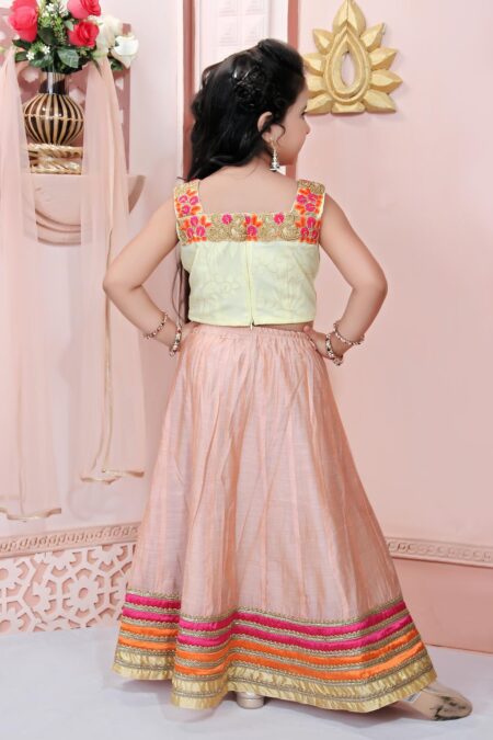 Beige Embroidered Net Lehenga Choli Dupatta - Image 6