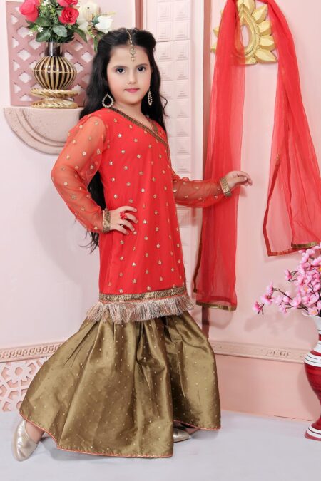Red Embroidered Net Sharara Kurta Dupatta - Image 3