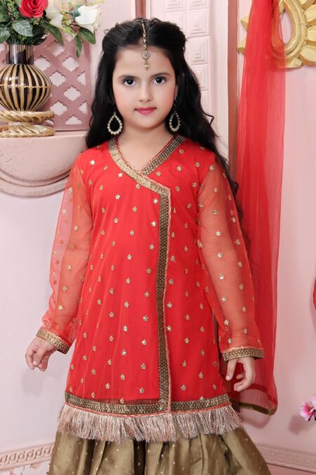 Red Embroidered Net Sharara Kurta Dupatta - Image 4