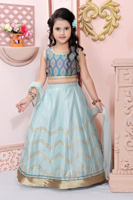 Blue Embroidered Brocade Lehenga Choli Dupatta