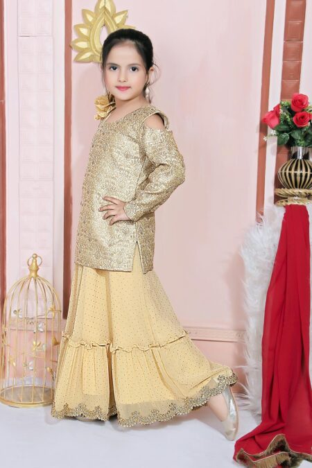 Gold Embroidered Jacquard Lehenga Choli Dupatta - Image 3