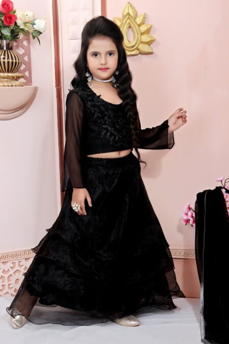 Black Embroidered Cotton Silk Lehenga Choli Dupatta - Image 3