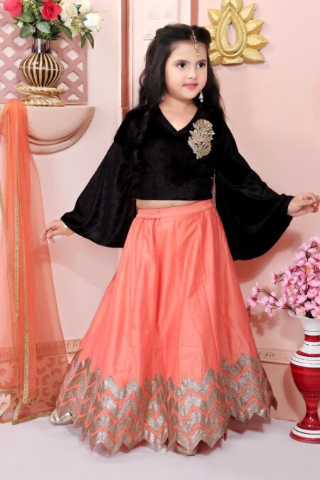 Black Embroidered Velvet Lehenga Choli with Dupatta - Image 4