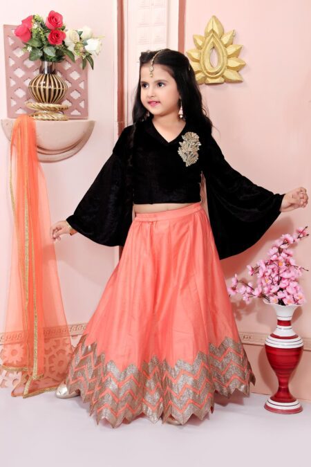 Black Embroidered Velvet Lehenga Choli with Dupatta - Image 2