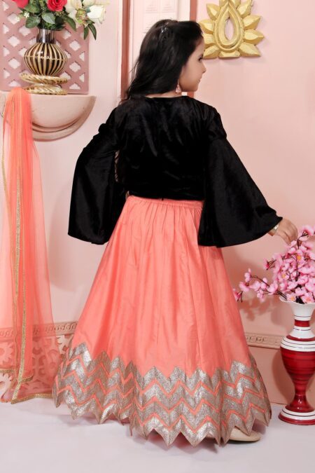 Black Embroidered Velvet Lehenga Choli with Dupatta - Image 5