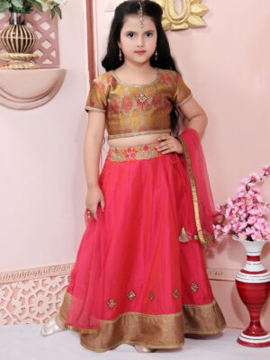Nikhaar Creations Rust Jacquard Choli with lace detailing on the neckline and sleeves. Worn with Pink Chanderi Silk Lehenga having embroidery detailing on the waistband and pink net dupatta with gold detailing on the edges.