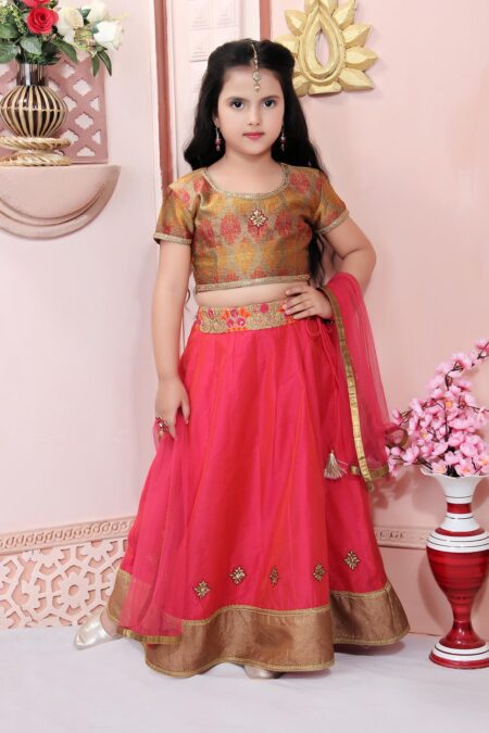 Nikhaar Creations Rust Jacquard Choli with lace detailing on the neckline and sleeves. Worn with Pink Chanderi Silk Lehenga having embroidery detailing on the waistband and pink net dupatta with gold detailing on the edges.