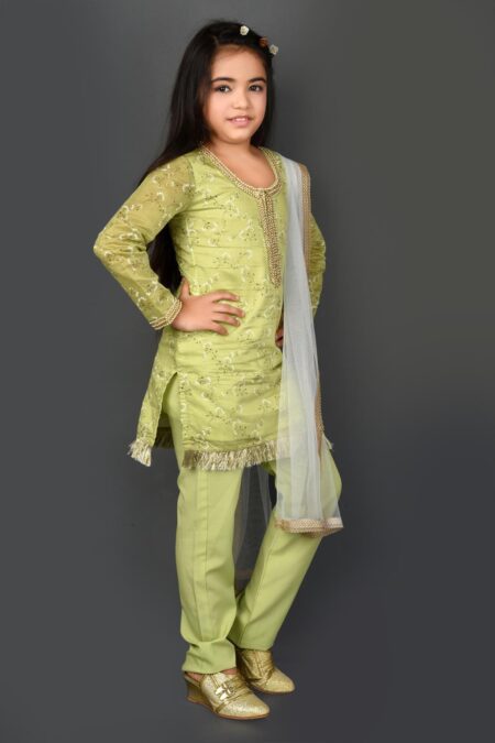 Green Embroidery Straight Chanderi Silk Kurta Pants Dupatta - Image 3