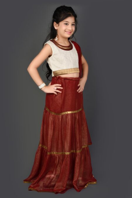 Maroon Embellished Shimmer Lehenga choli - Image 3