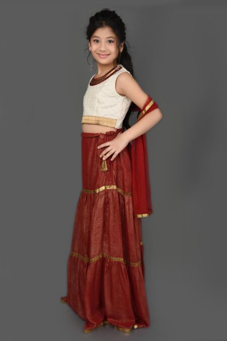 Maroon Embellished Shimmer Lehenga choli - Image 4