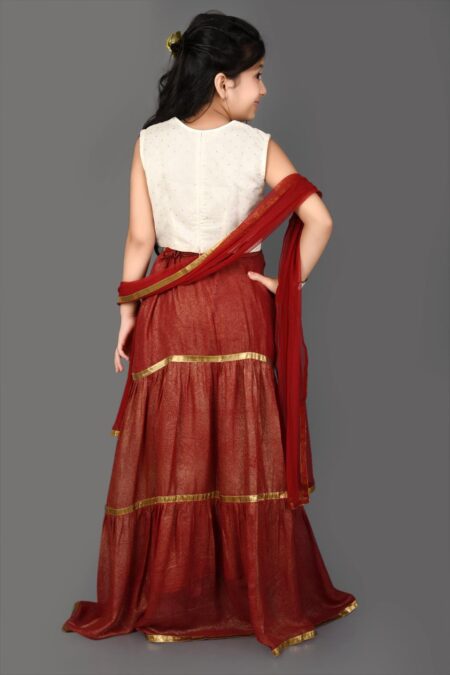 Maroon Embellished Shimmer Lehenga choli - Image 5