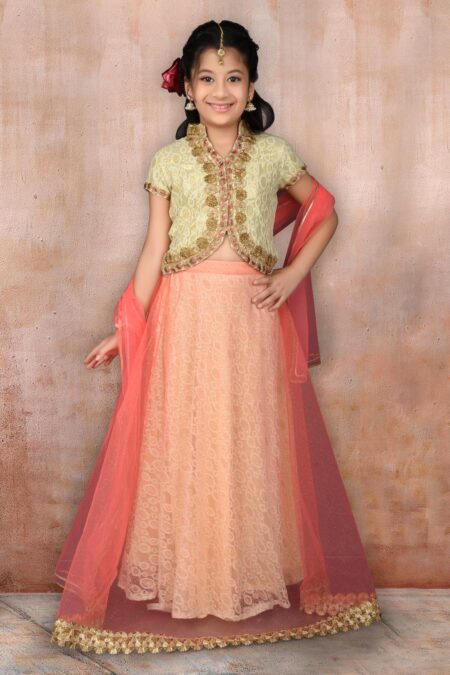 Beige Embroidered Net Lehenga Choli Dupatta