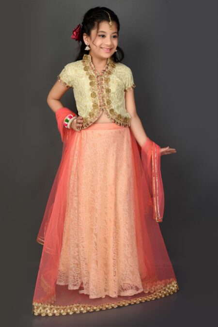 Beige Embroidered Net Lehenga Choli Dupatta - Image 2