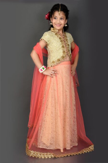 Beige Embroidered Net Lehenga Choli Dupatta - Image 3