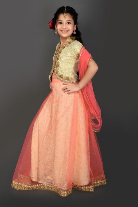 Beige Embroidered Net Lehenga Choli Dupatta - Image 4