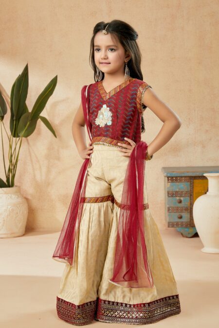 Maroon Embroidered Banarasi Silk Straight Kids Salwar Suits