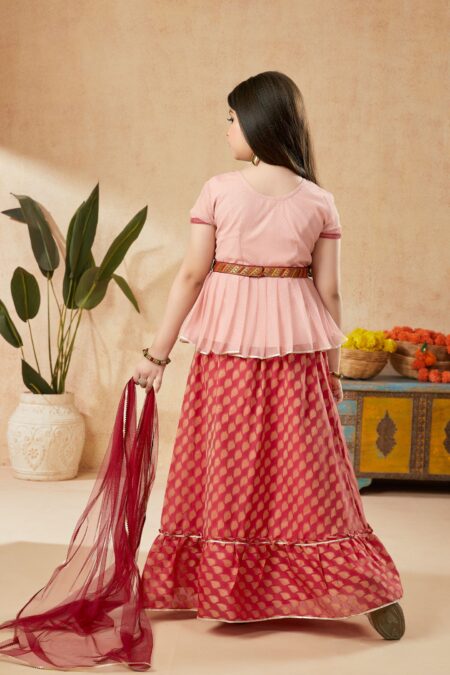 Peach Gold Net Embroidered A Line lehenga choli Dupatta - Image 5