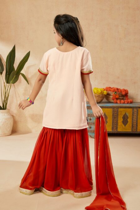 Peach Shimmer Embroidered Net  A Line Kurta Sharara Dupatta - Image 3